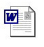 word_icon